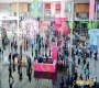 2026南京秋糖，第115届秋季全国糖酒会重点展团与知名品牌名录揭晓。